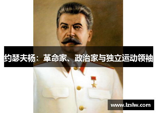 约瑟夫杨：革命家、政治家与独立运动领袖